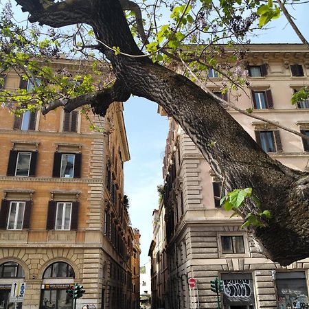 Vatican Near Sweet Home Terrace Rom Exterior foto